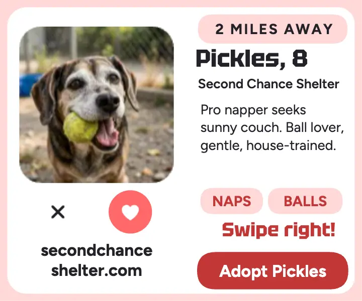 Pickles senior dog dating profile ad template