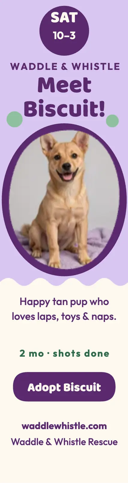 Biscuit puppy adoption day skyscraper template