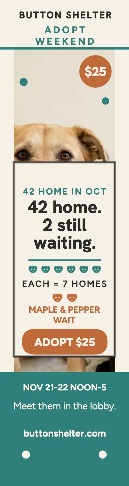 Button Shelter adoption weekend skyscraper ad: pet adoption ad template
