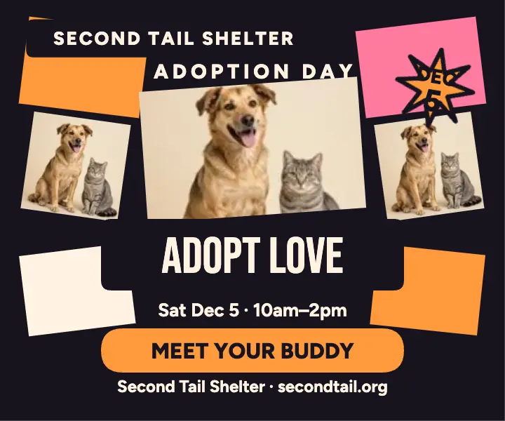 Second Tail adoption day tilted ad: pet adoption ad template