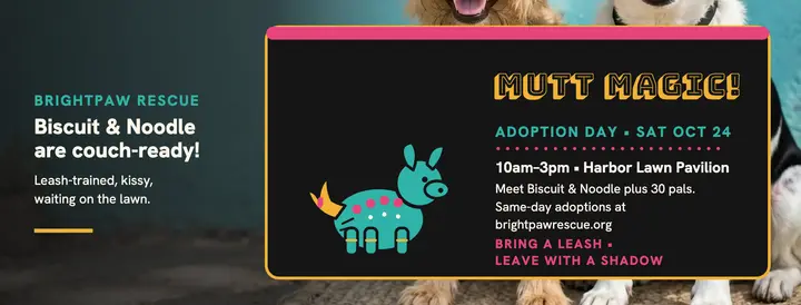 Brightpaw adoption day cover, mutts template