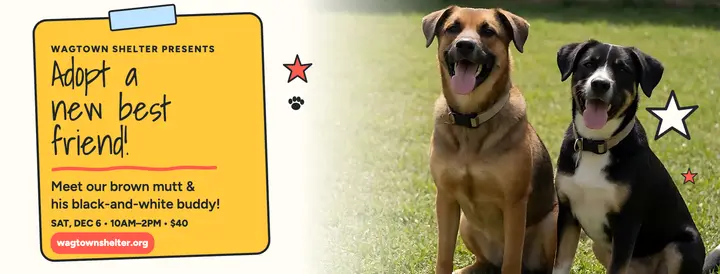 Wagtown Shelter adoption day cover template
