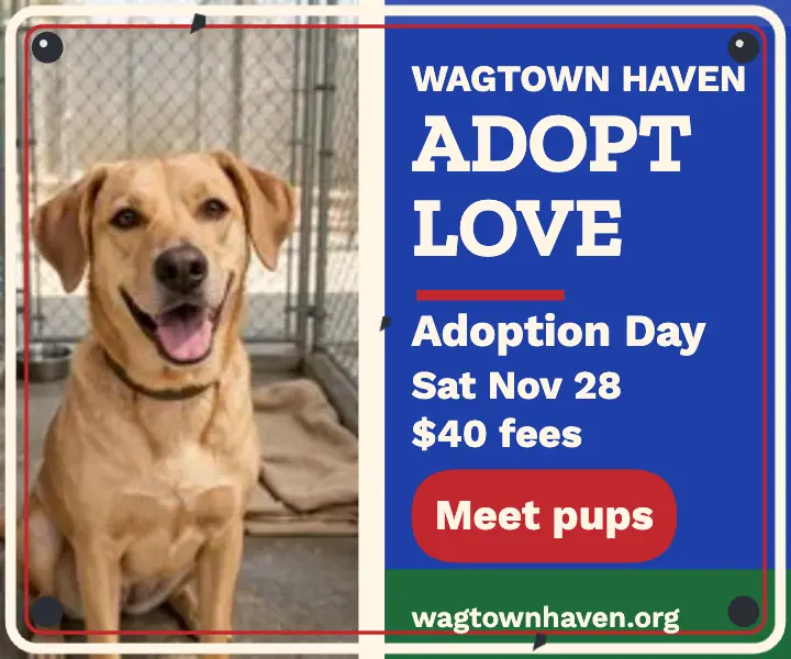 Wagtown Haven adoption day enamel ad template