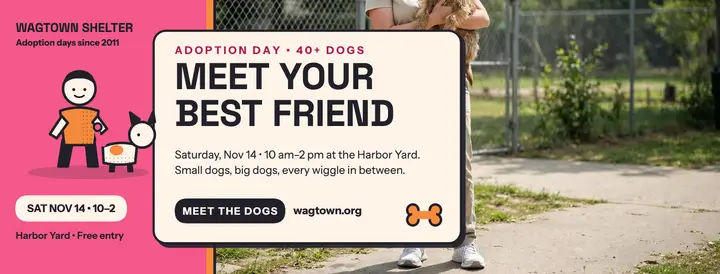 Wagtown Shelter adoption day grain cover template