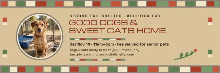 Second Tail Shelter adoption day header template