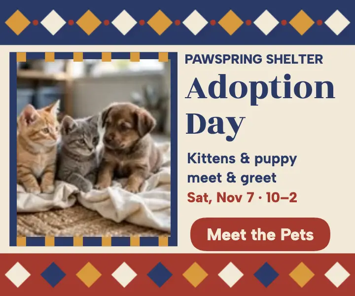 Pawspring Shelter adoption day medium rectangle: kitten puppy adoption ad template