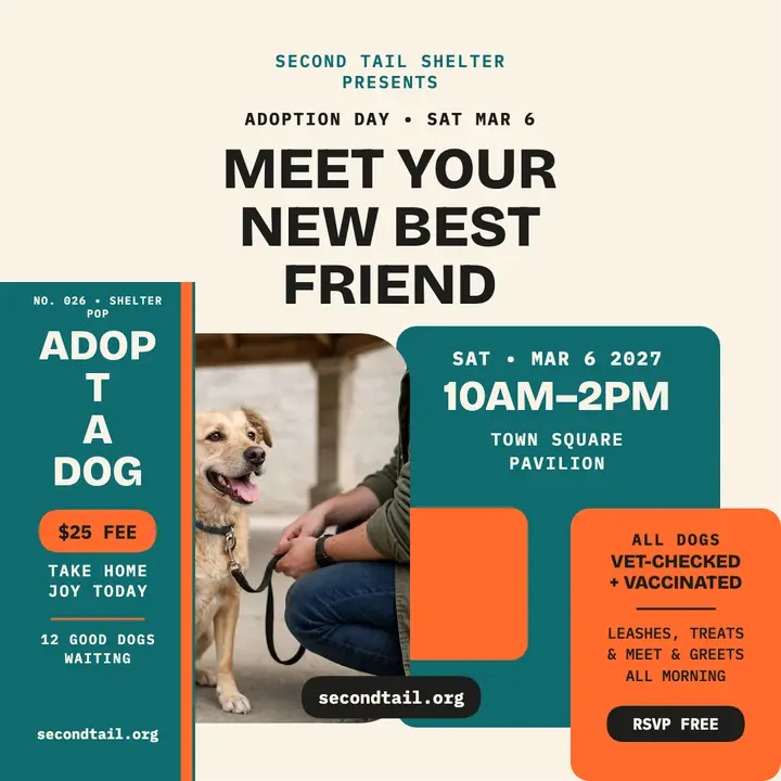 Second Tail adoption day obi post: dog adoption day post template