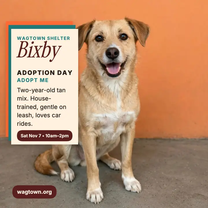 Wagtown Shelter adoption day post, Bixby template