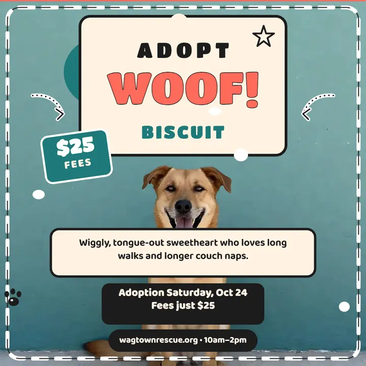 Wagtown Rescue adoption day post template