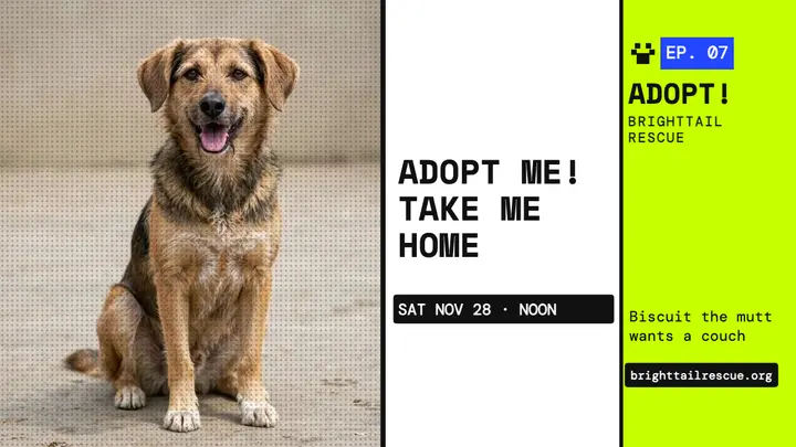 Brighttail adoption day thumbnail, dithered dog template