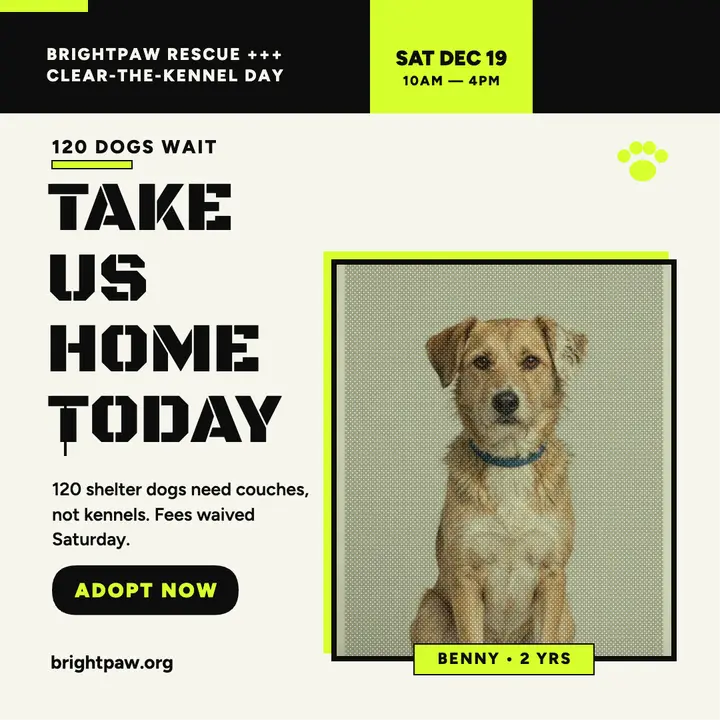 Brightpaw shelter adoption dither post template