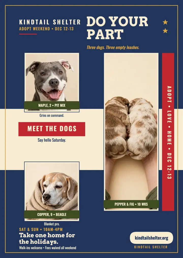 Kindtail adoption drive flyer: adoption drive flyer template