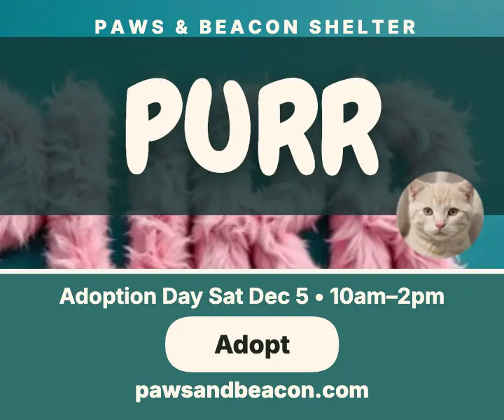 Paws and Beacon furry adoption ad template
