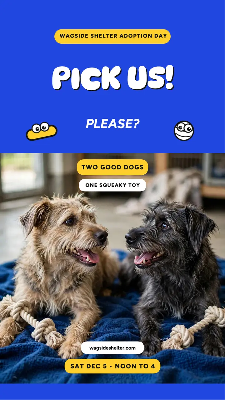 Wagside shelter adoption day googly story template
