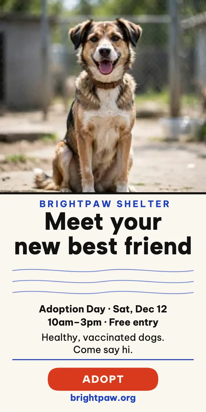Brightpaw Shelter adoption day half-page ad template