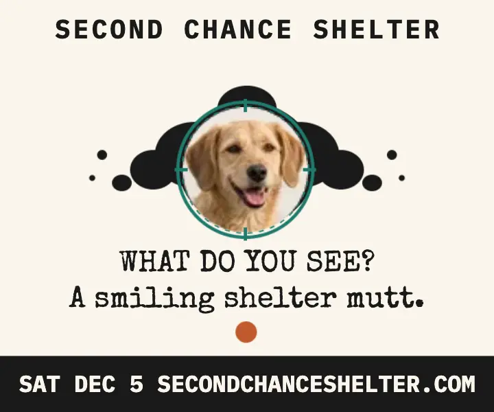 Second Chance Shelter adoption inkblot ad template