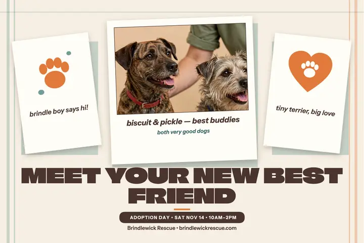 Brindlewick adoption day instant postcard template