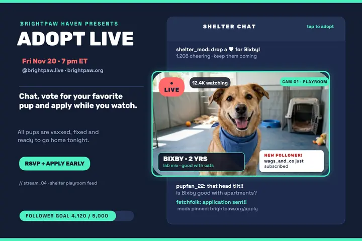 Brightpaw Haven adoption live postcard template