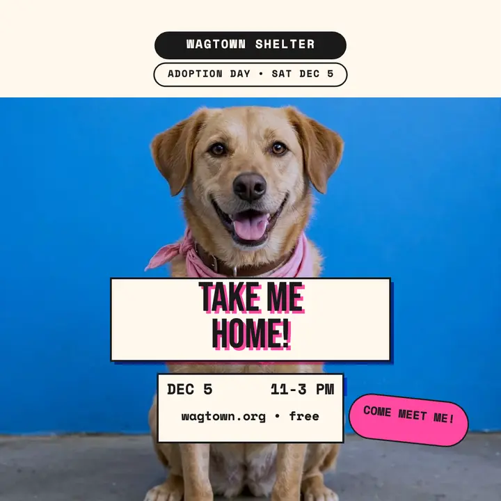 Wagtown Shelter adoption day riso post: adoption day post template
