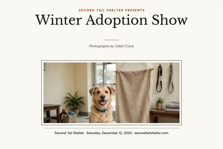 Second Tail Shelter adoption show postcard template