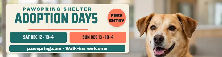 Pawspring Shelter adoption weekend billboard template