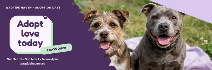 Wagtide Haven adoption weekend header template