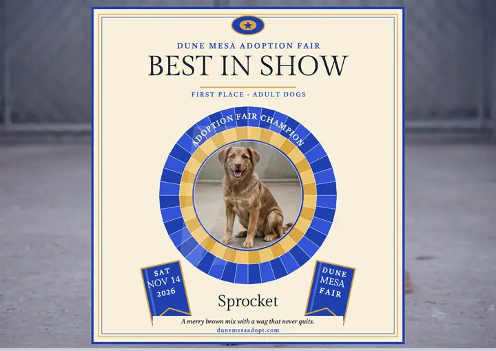 Sprocket best in show shelter certificate template