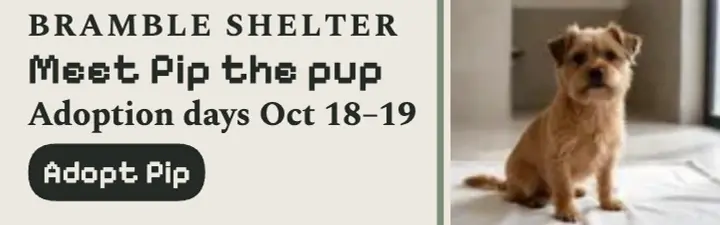 Bramble Shelter terrier adoption banner template