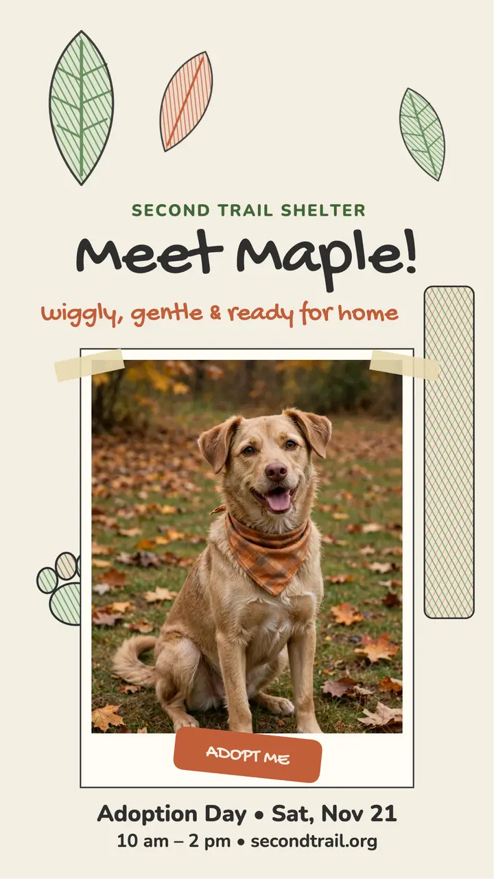 Maple shelter dog adoption story template