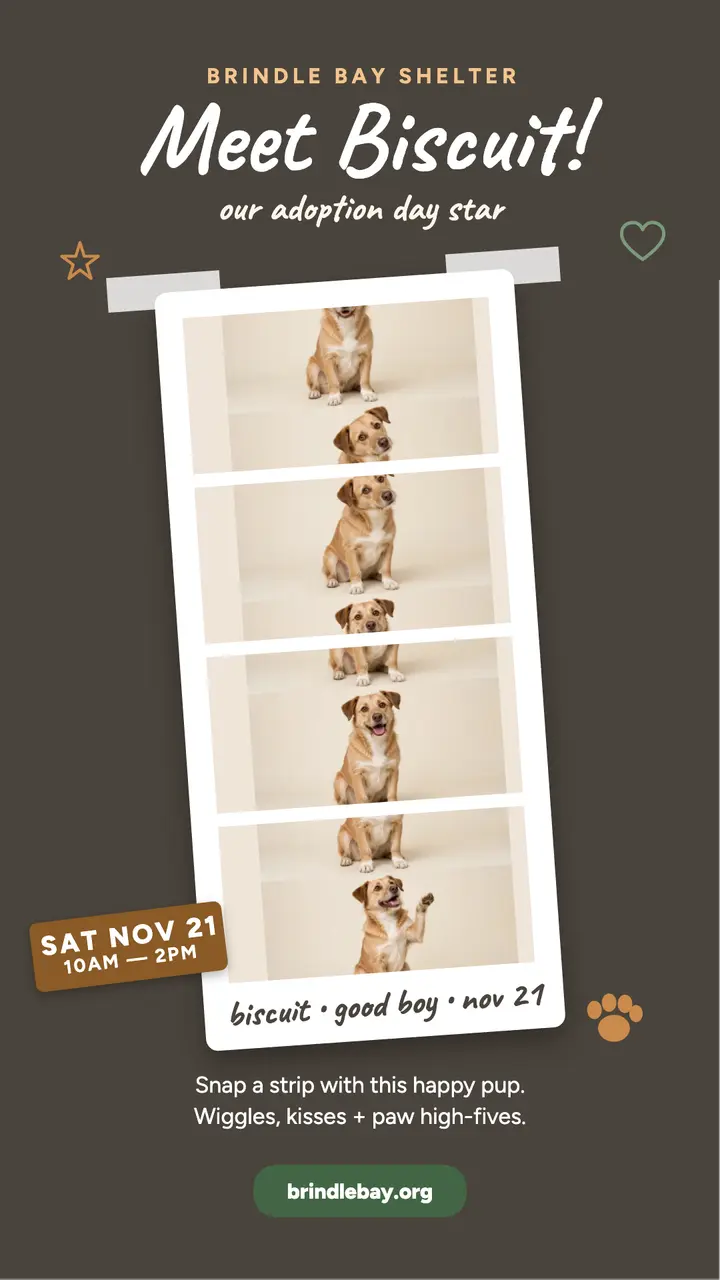 Brindle Bay Shelter dog booth story template