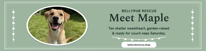 Bellyrub Rescue shelter dog cameo banner template