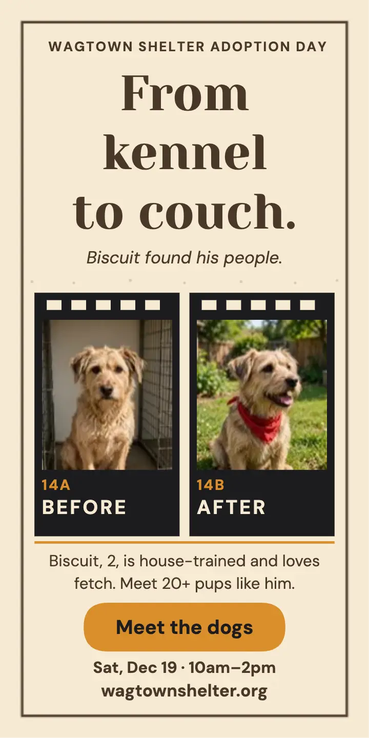 Wagtown Shelter Biscuit before after ad template