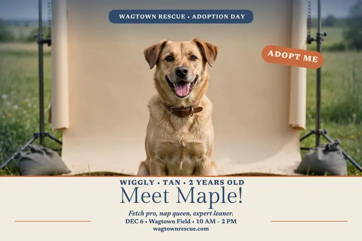Wagtown Rescue adoption day postcard template