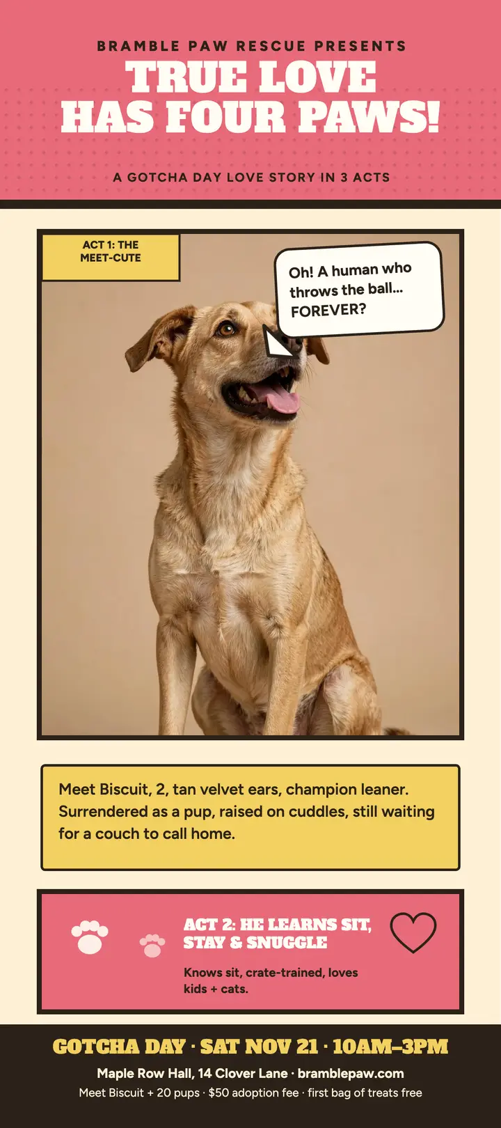 Shelter dog fotonovela adoption rack card template