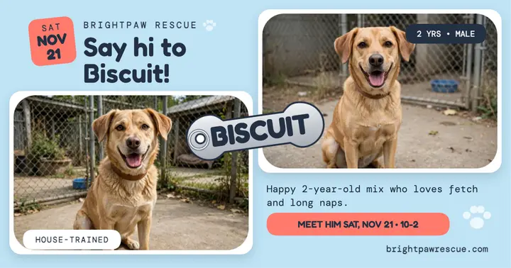 Biscuit shelter dog adoption day tag post template
