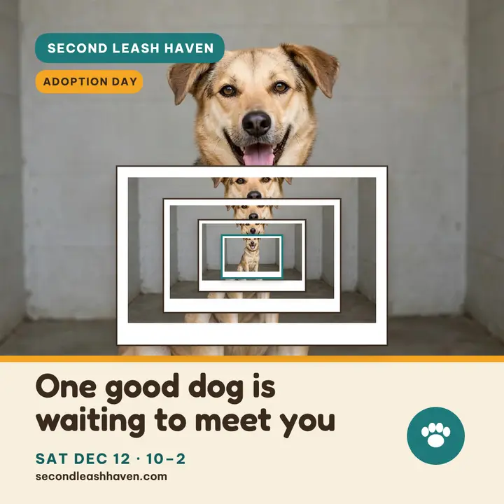 Shelter dog picture frame adoption post template