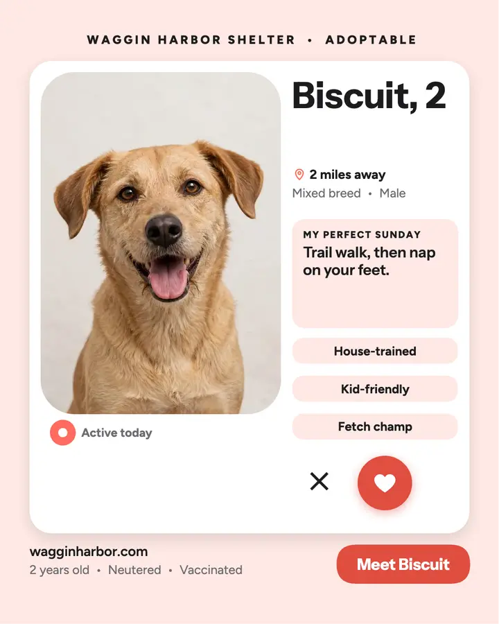 Biscuit shelter dog adoption profile template