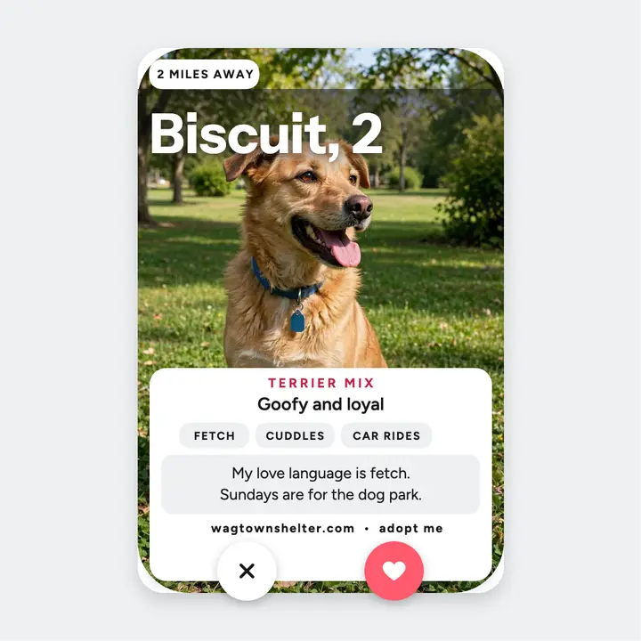 Biscuit shelter dog profile post template