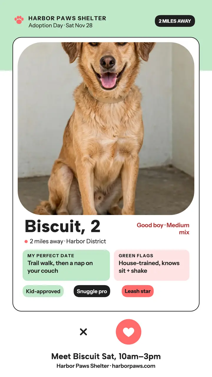 Biscuit shelter dog dating profile story template