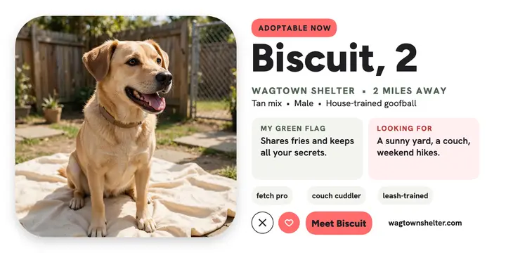 Biscuit shelter dog profile post template