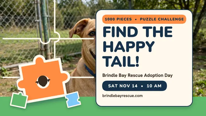 Brindle Bay puzzle challenge thumbnail template