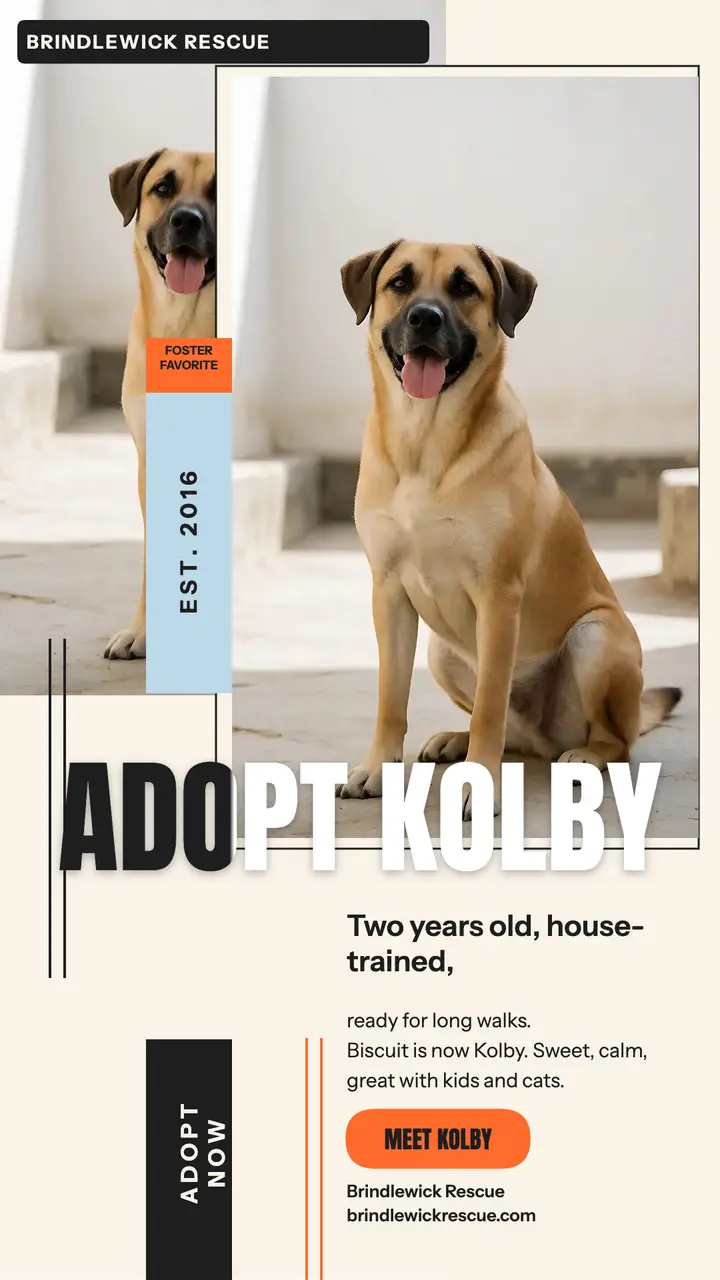 Brindlewick Rescue adopt Kolby story template