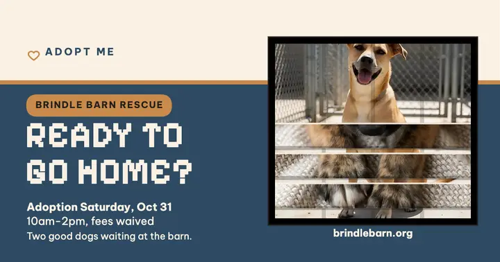Brindle Barn woven shelter dogs post template