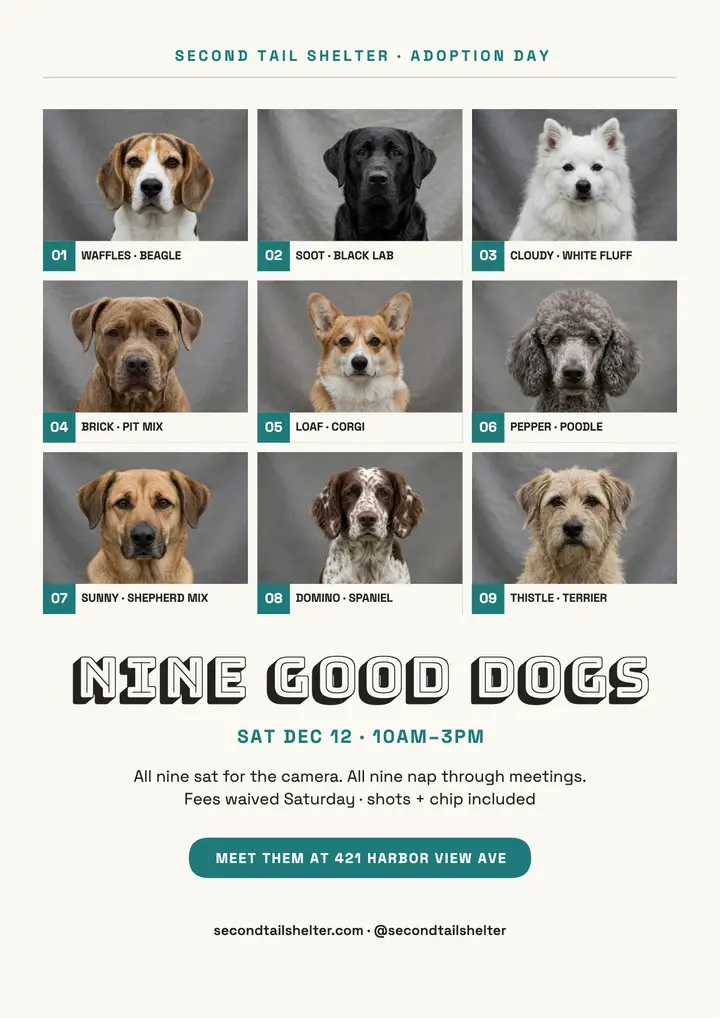 Second Tail nine dogs adoption flyer template