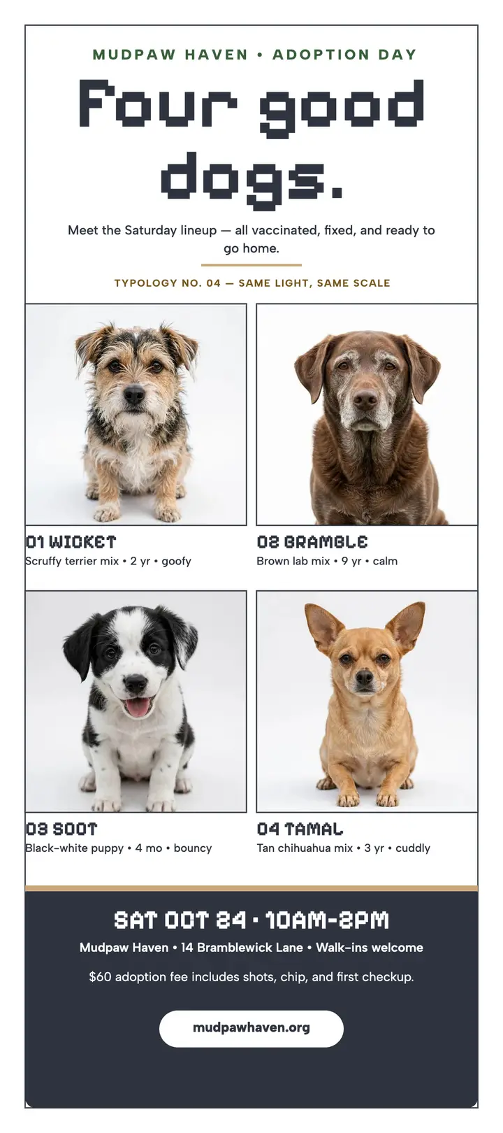 Mudpaw Haven adoption day dog grid template