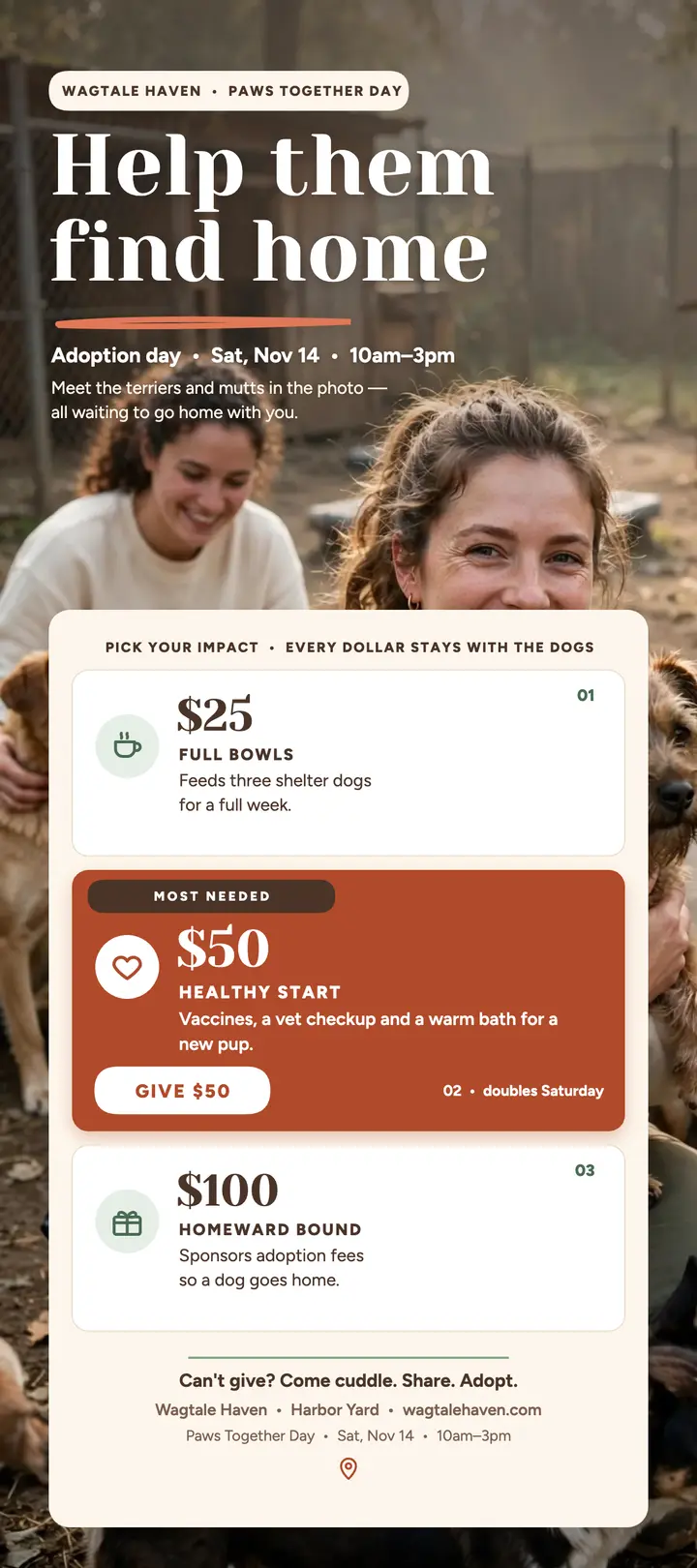 Wagtale Haven adoption day donation tiers template