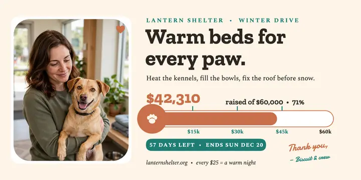 Lantern Shelter winter drive tracker: shelter fundraiser post template