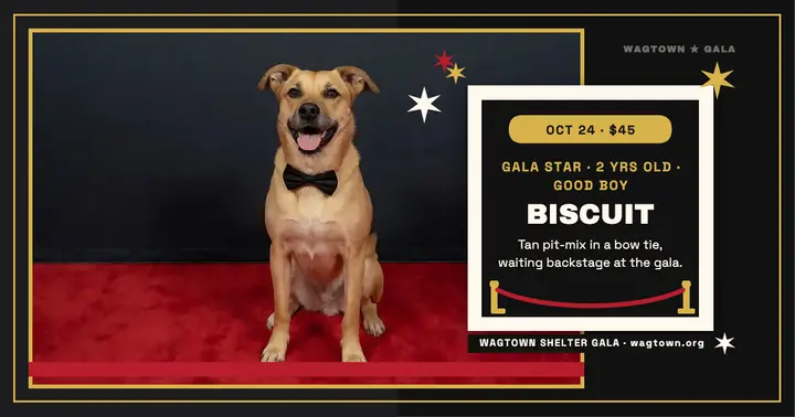 Wagtown Shelter Gala press wall post: shelter gala adoption post template