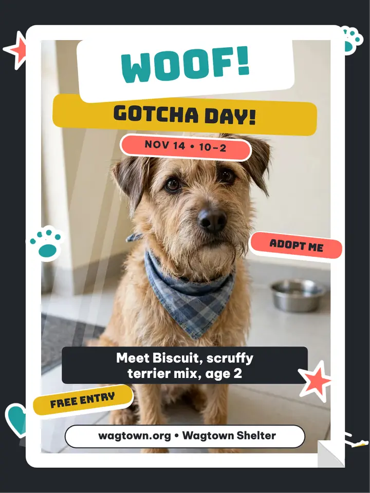 Wagtown Shelter gotcha day terrier post: shelter adoption day post template