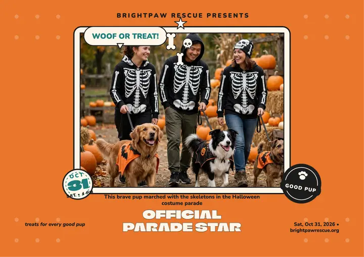 Brightpaw Halloween parade certificate template